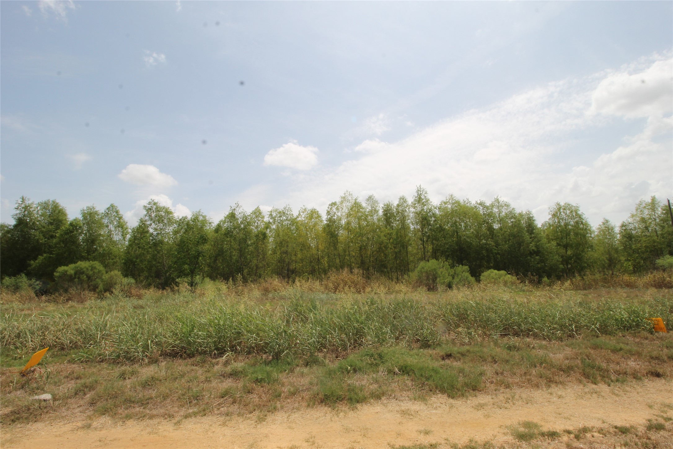 6-10 Washington Street Hempstead, TX 77445 - Photo 11 of 11 a view of a field with trees in background