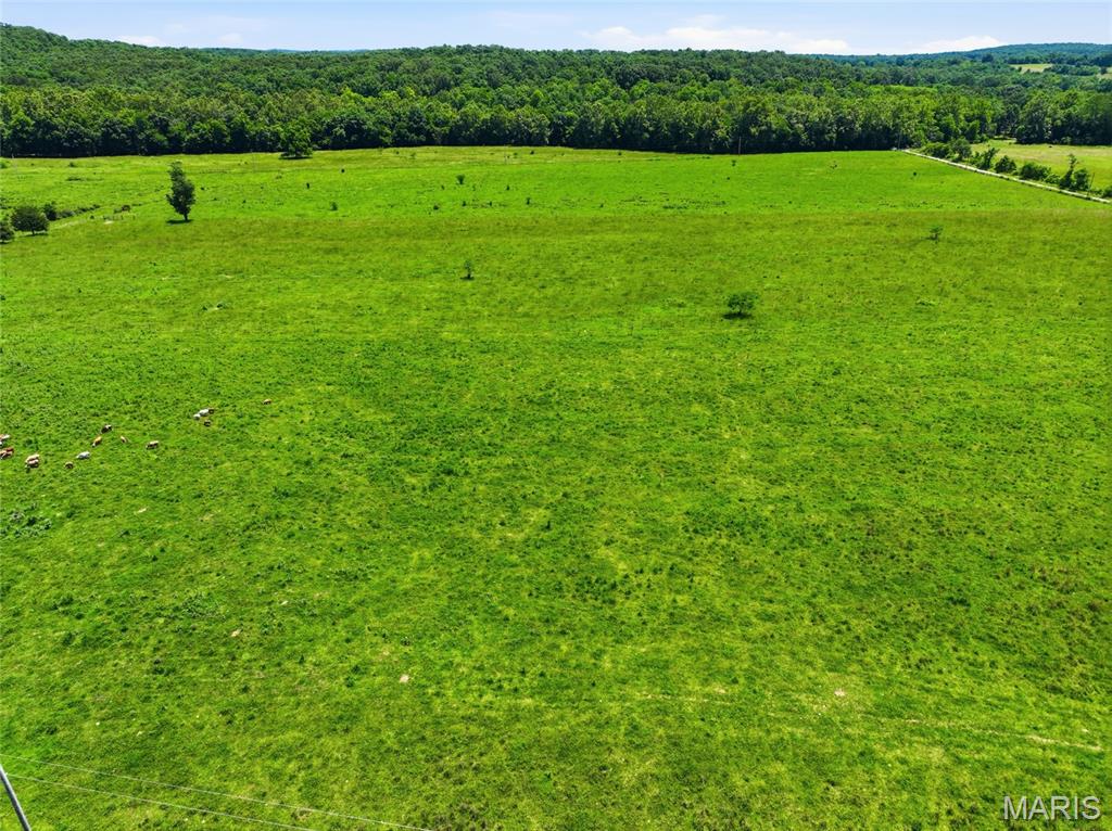 0 Pleasant Hill Road Mountain Grove, MO 65711 - Photo 16 of 51