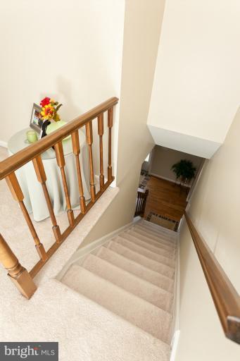 2003 Pine Pep Road Reisterstown, MD 21136 - Photo 7 of 30 Newly carpeted stairs