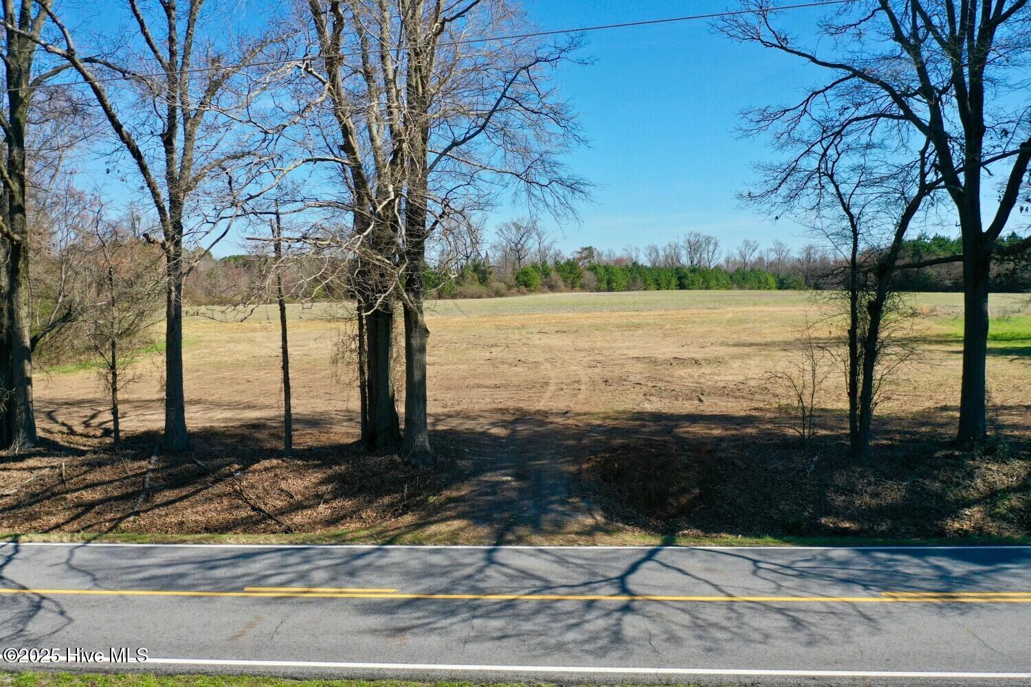 2888 Pauls Path Road Kinston, NC 28504 - Photo 2 of 7 Front Aerial
