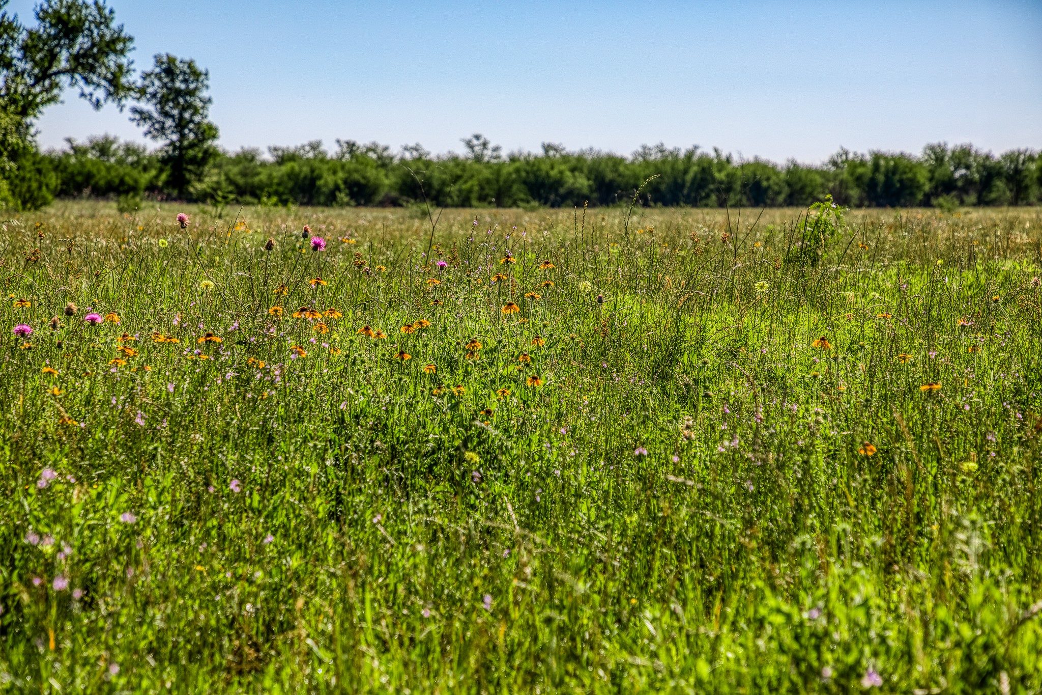 0 Flat Prairie Road Washington, TX 77880 - Photo 10 of 19