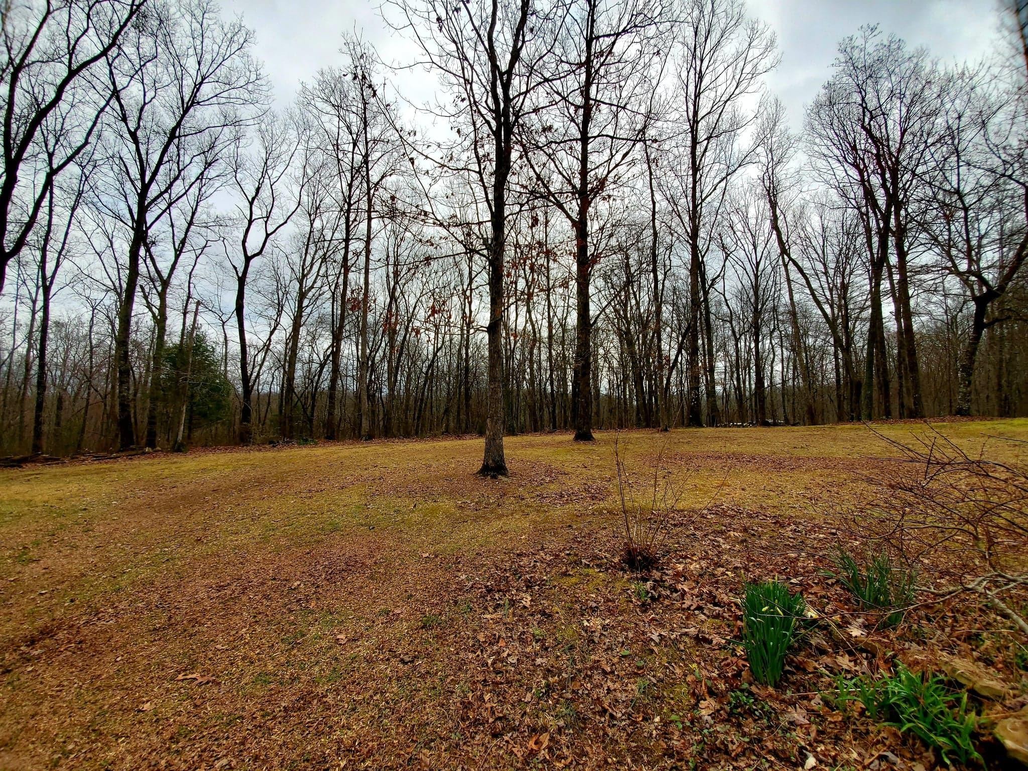 240 Vandever Road Crossville, TN 38572 - Photo 31 of 39 Gallery Image 31