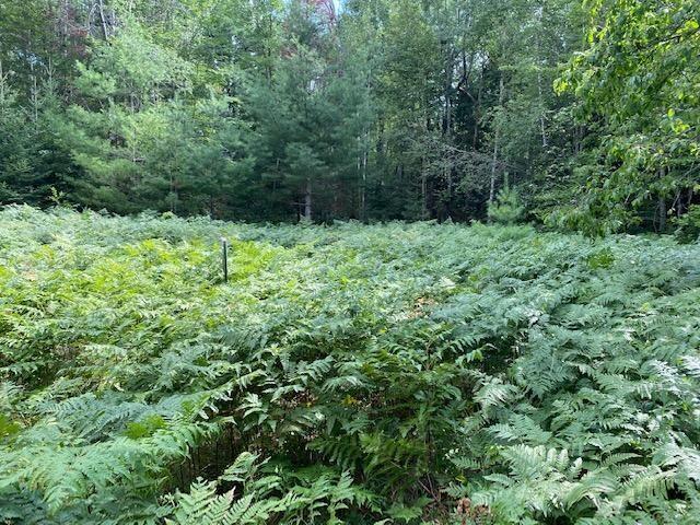 Silver Strand Road Levering, MI 49755 - Photo 6 of 18