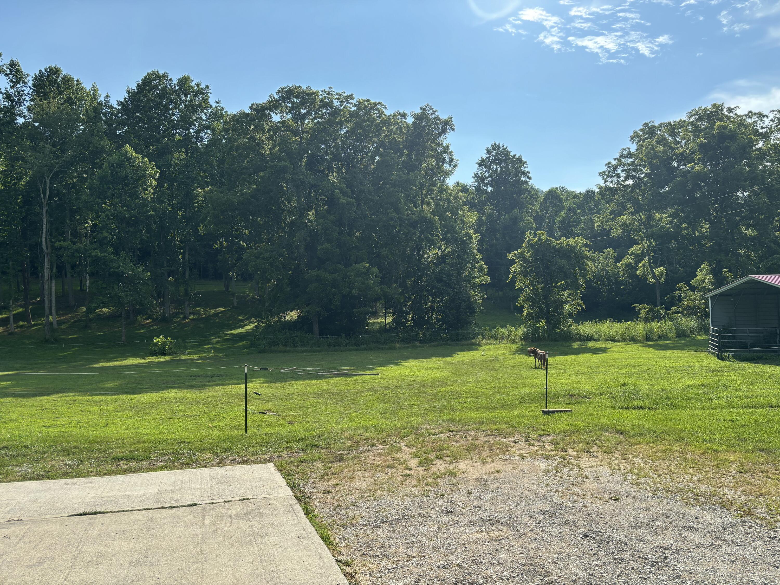 1975 Cherry Grove Road Somerset, KY 42501 - Photo 57 of 79 60