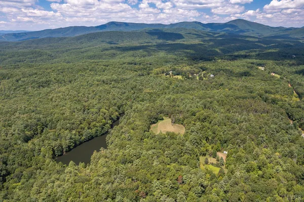 a view of a lush green hillside and a houses