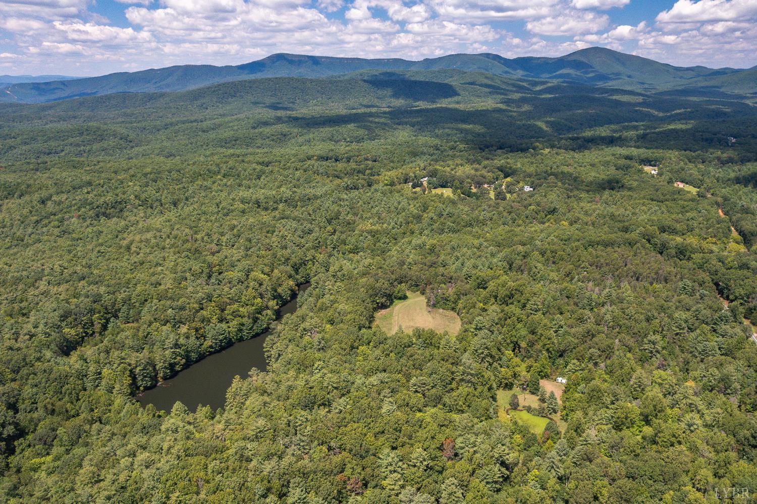 a view of a lush green hillside and a houses