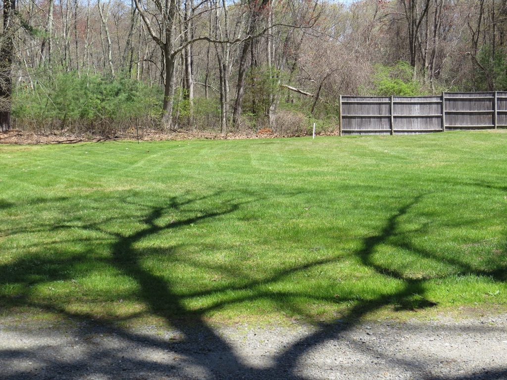 63 Westview Street Lexington, MA 02421 - Photo 15 of 20 Gallery Image 15