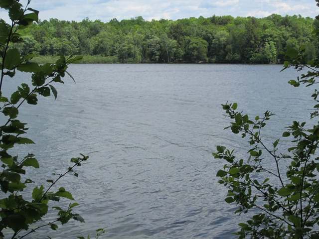 816 West Fisher Lake Road Mercer, WI 54547 - Photo 13 of 13 Gallery Image 13