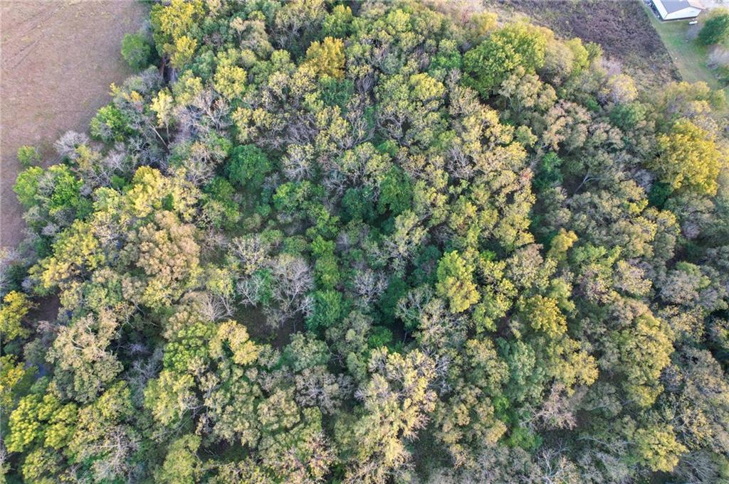 0 Gp Road Elmdale, KS 66850 - Photo 35 of 54