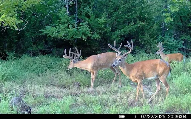 $650,000 | 0 Gp Road, Elmdale, KS 66850