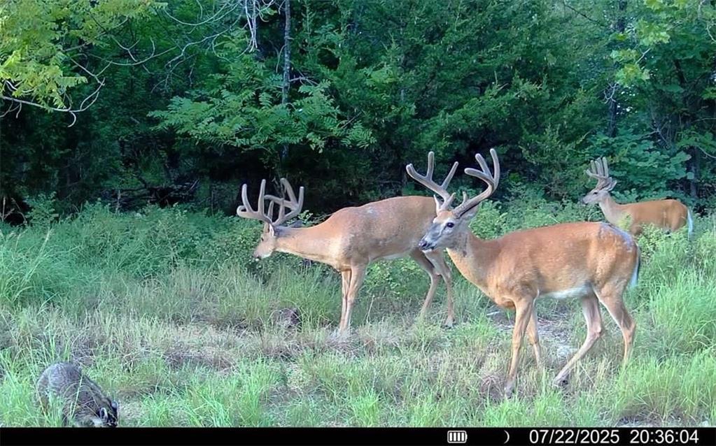 0 Gp Road Elmdale, KS 66850 - Photo 50 of 54