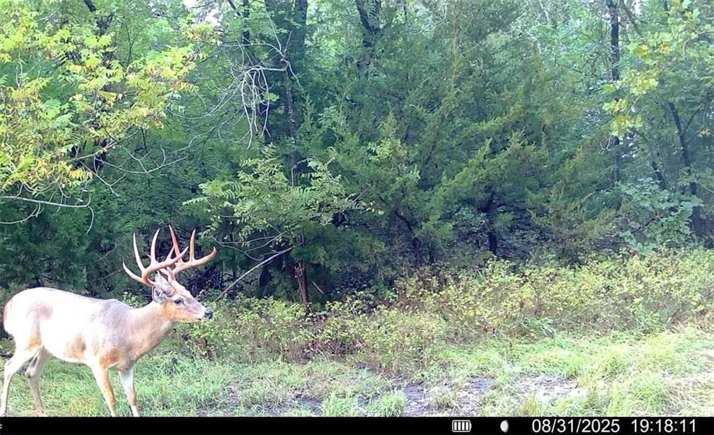 0 Gp Road Elmdale, KS 66850 - Photo 51 of 54