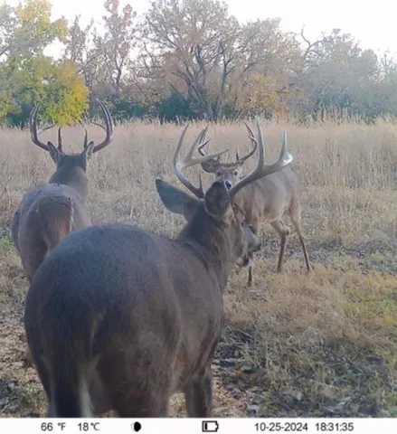 $650,000 | 0 Gp Road, Elmdale, KS 66850