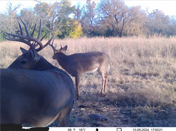 $650,000 | 0 Gp Road, Elmdale, KS 66850