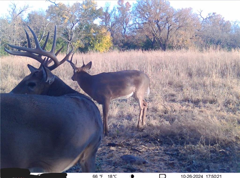 0 Gp Road Elmdale, KS 66850 - Photo 54 of 54