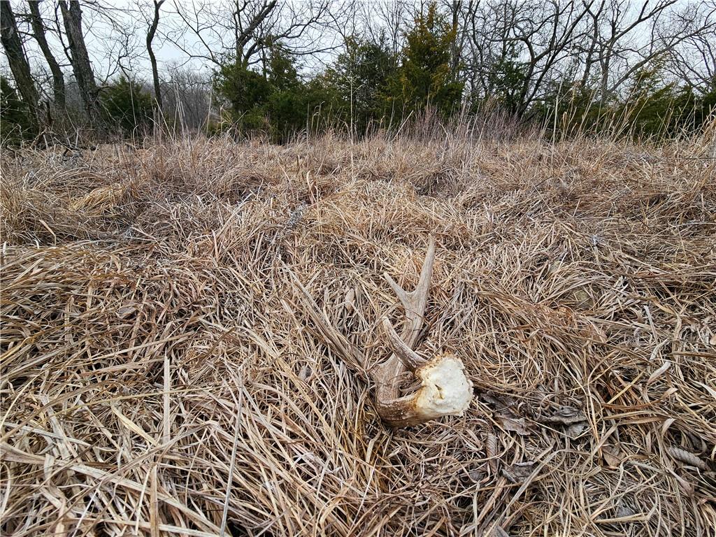 0 Gp Road Elmdale, KS 66850 - Photo 8 of 54