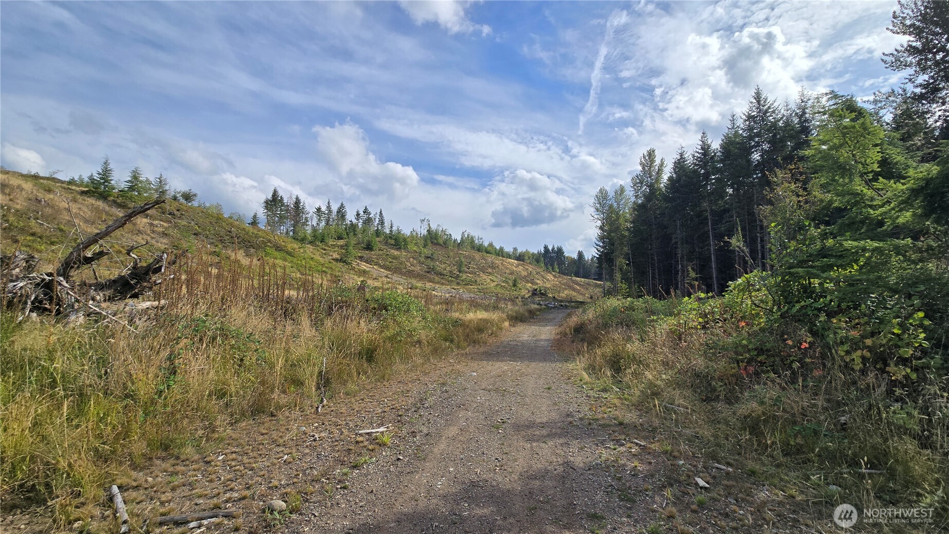 -ap A P Tubbs Road Buckley, WA 98321 - Photo 1 of 33 Gallery Image 1