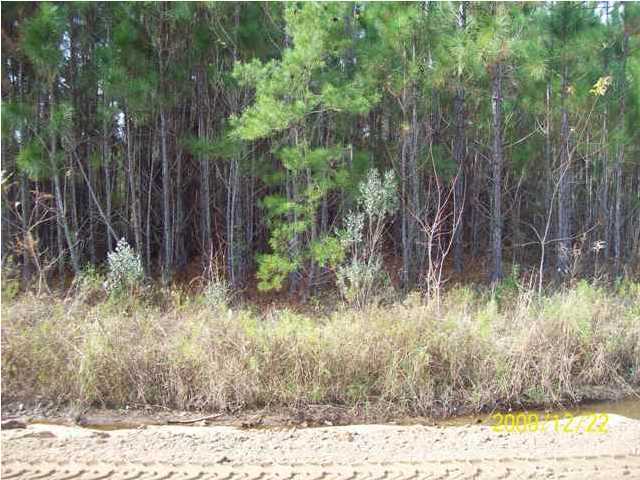 Lot 24 Eden Parc Santa Rosa Beach Santa Rosa Beach, FL 32459 - Photo 1 of 4 Gallery Image 1