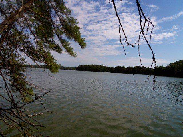 Lot 2 Winat Road Woodruff, WI 54568 - Photo 1 of 9 Gallery Image 1