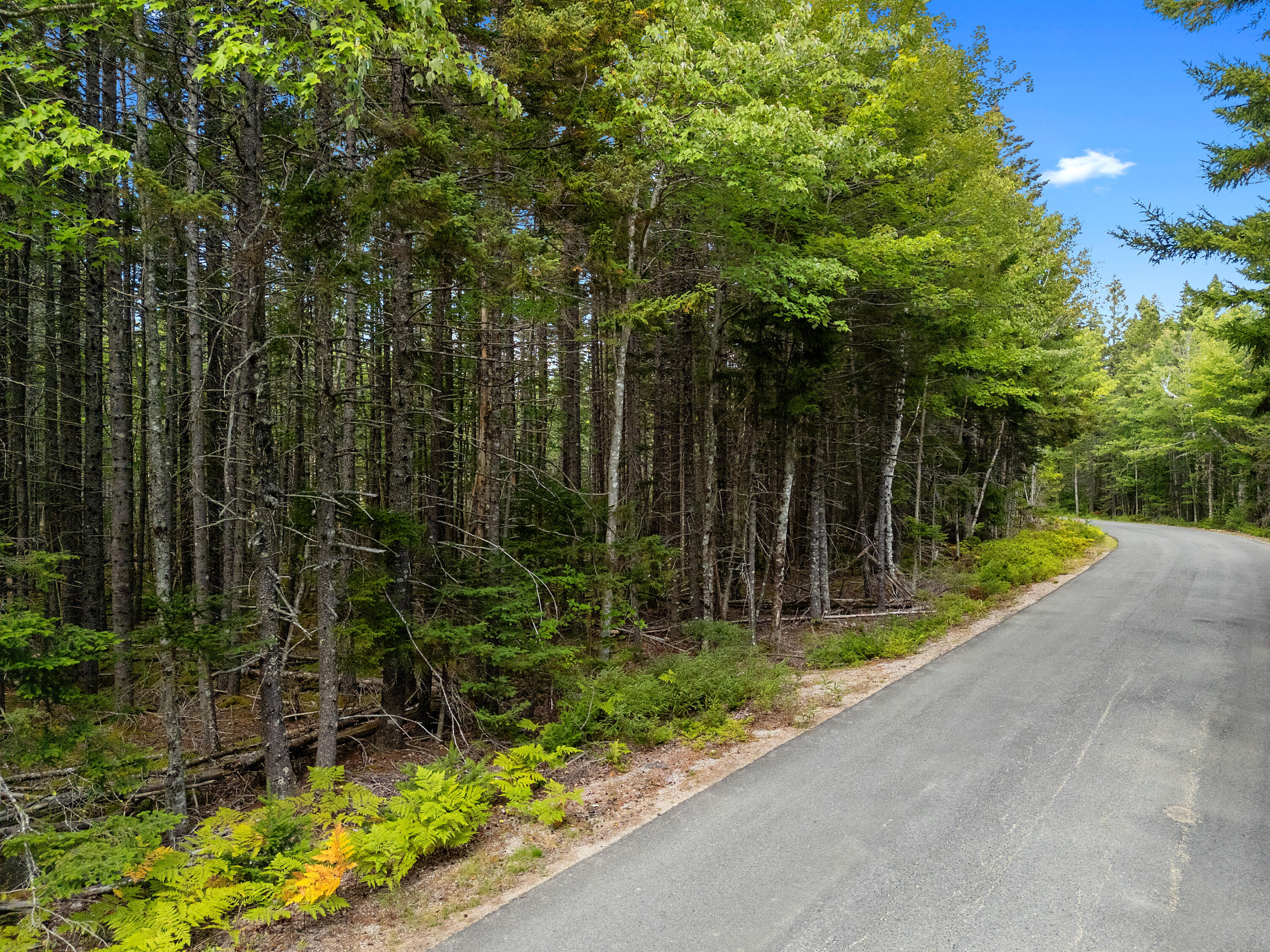 Lot 1 Peninsula Shore Road Corea, ME 04624 - Photo 9 of 23