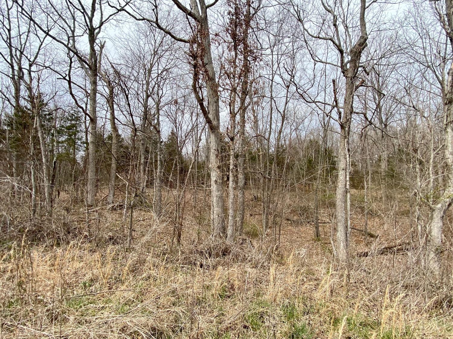 58.7-ac McCarty Road West Union, OH 45693 - Photo 7 of 17 Gallery Image 7