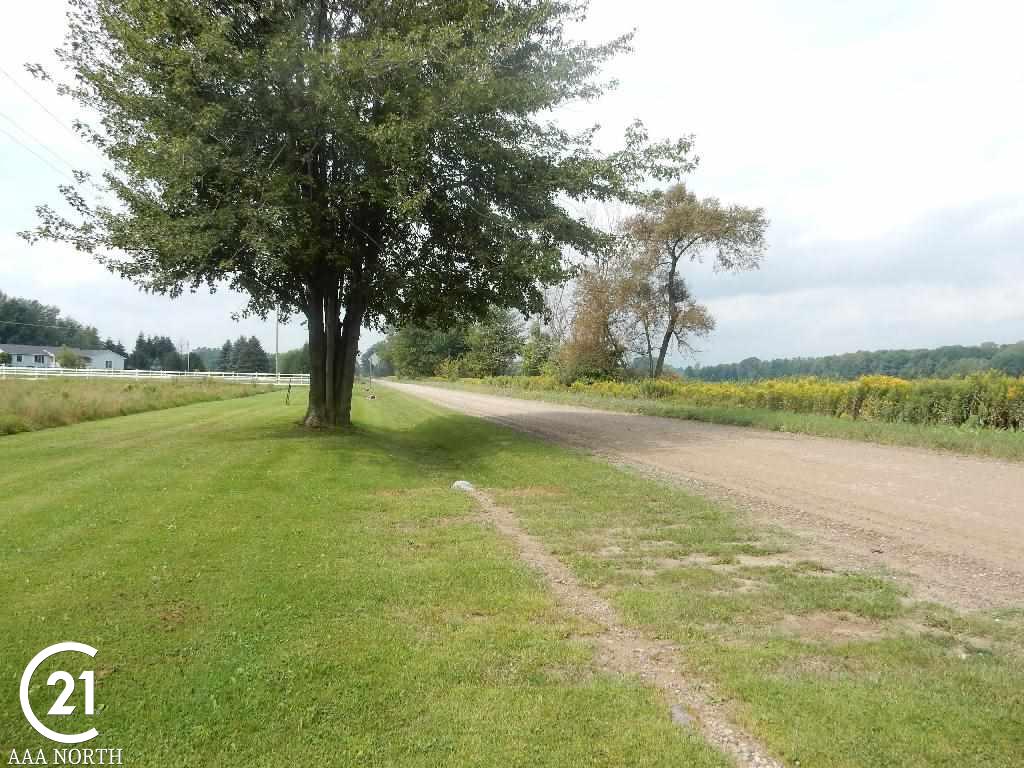 0 West Wellman Line Road Melvin, MI 48097 - Photo 5 of 7