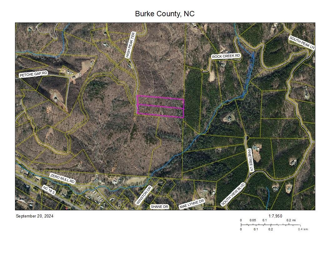 3901-3913 High Peak Terrace Road Morganton, NC 28655 - Photo 3 of 9 a black and white photo of a park