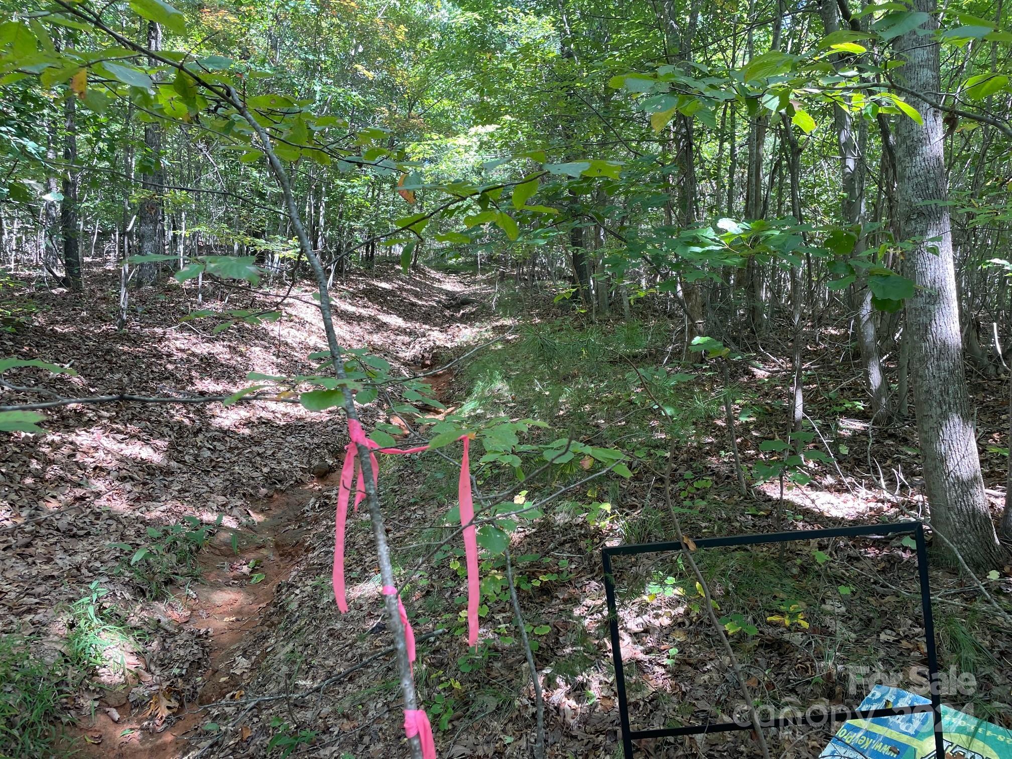 3901-3913 High Peak Terrace Road Morganton, NC 28655 - Photo 4 of 9 a backyard of a house with lots of green space