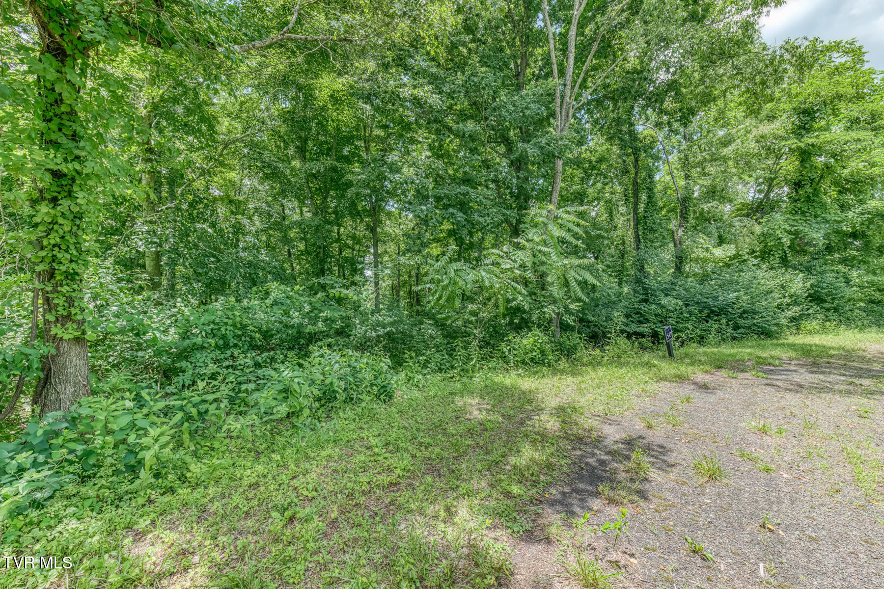 Lot 50 Dry Hill Road, Unit 50 Butler, TN 37640 - Photo 26 of 27 Lot 50, Redbud Cir-19