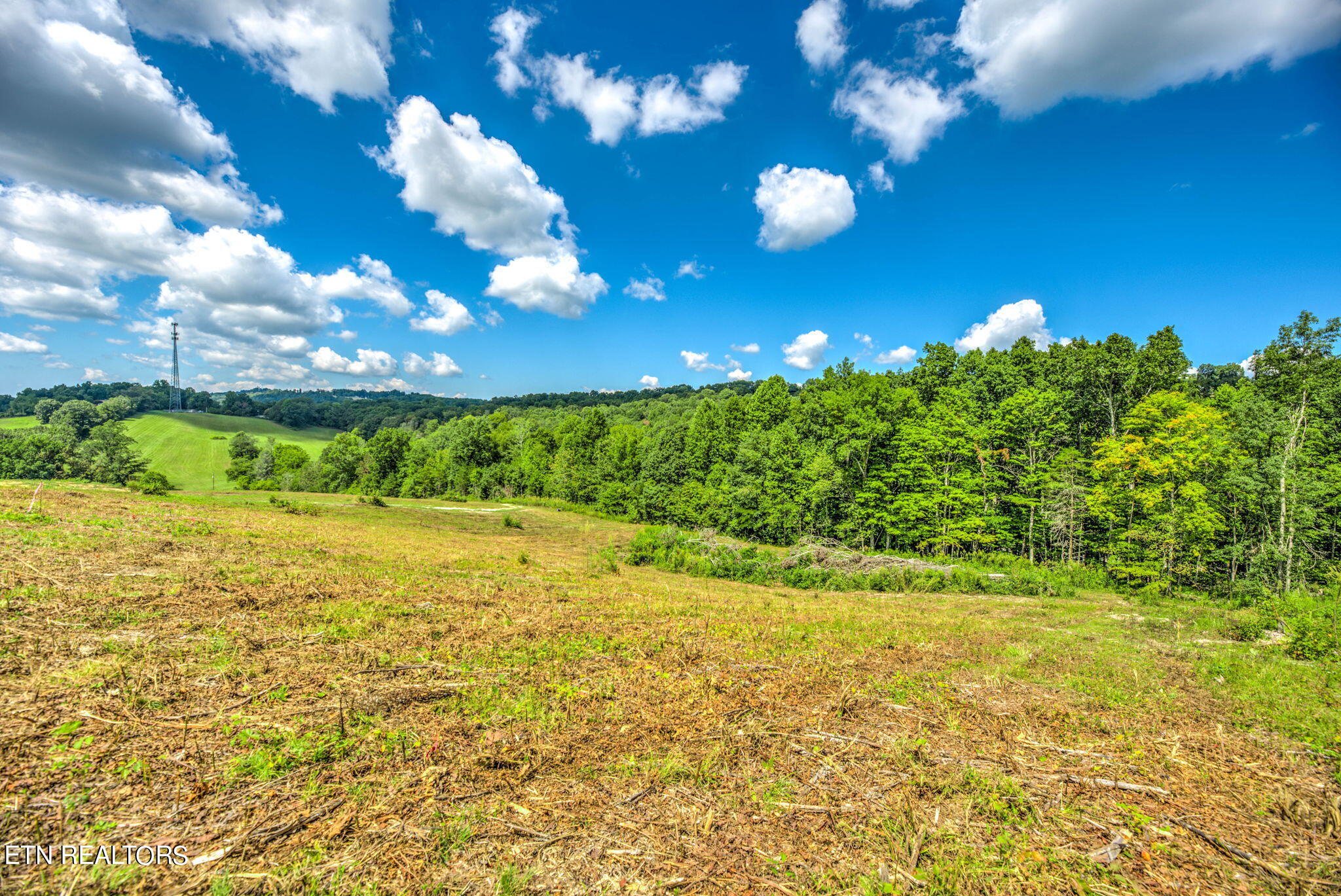 Lot 1 Hubbs Grove Road Maynardville, TN 37807 - Photo 2 of 11 2-web-or-mls-1HbbsGrv158 (2)