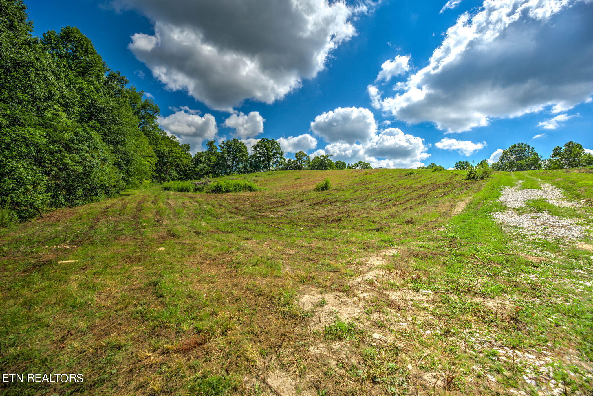 Lot 1 Hubbs Grove Road Maynardville, TN 37807 - Photo 3 of 11 3-web-or-mls-1HbbsGrv158 (3)