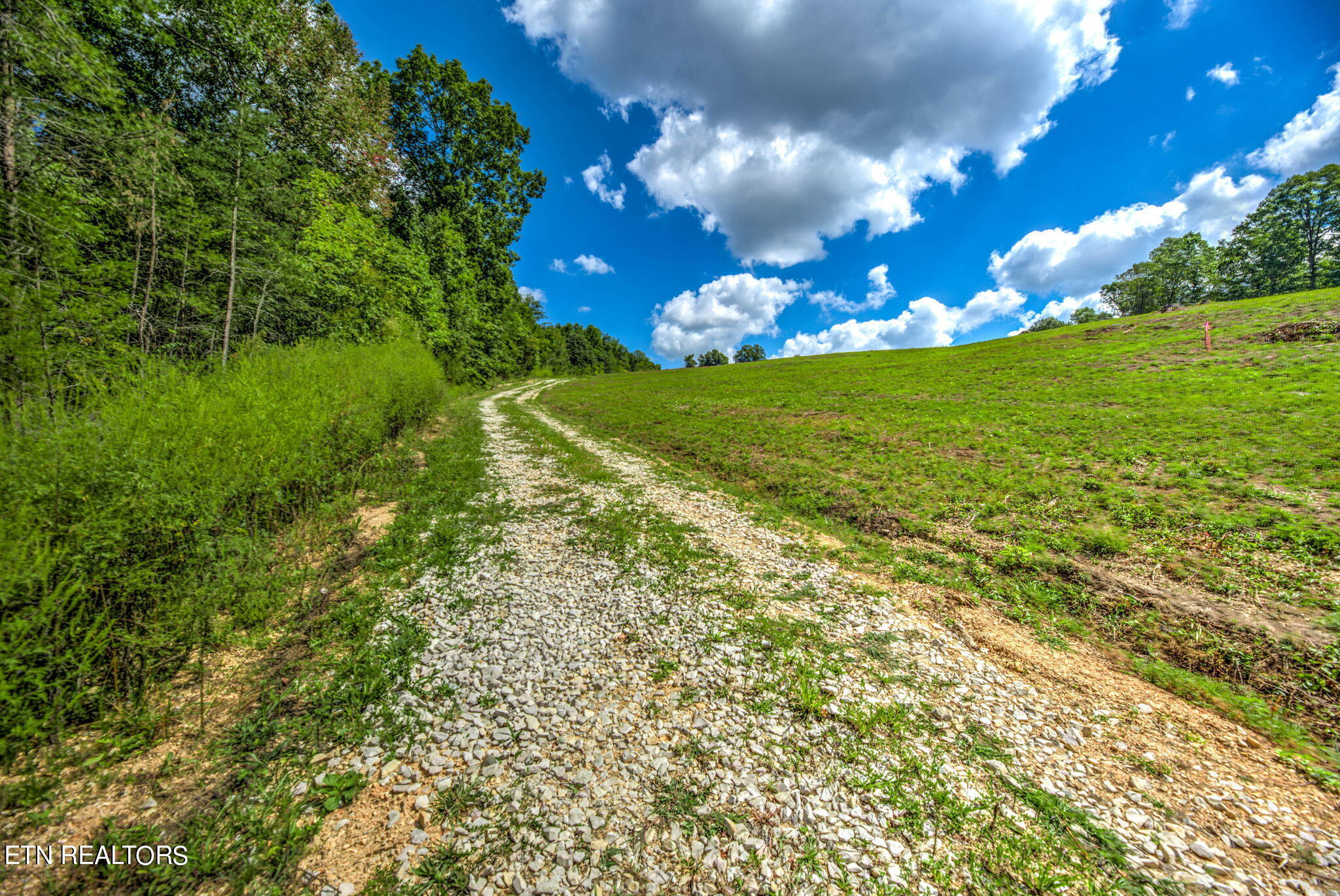 Lot 1 Hubbs Grove Road Maynardville, TN 37807 - Photo 4 of 11 4-web-or-mls-1HbbsGrv158 (4)