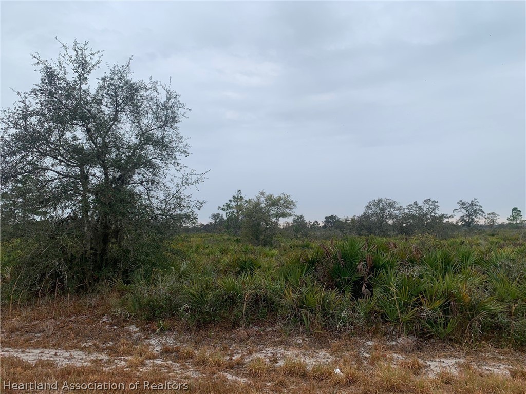 2237 West Matte Road Avon Park, FL 33825 - Photo 1 of 2 Gallery Image 1