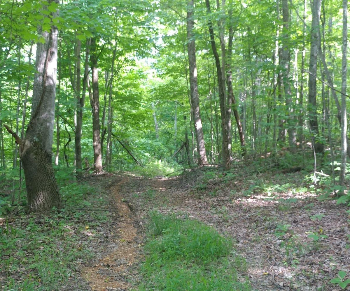 3075 Peter Trace Means, KY 40346 - Photo 38 of 56 Photo 38
