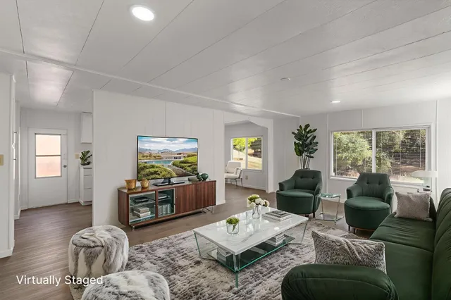 a living room with furniture rug and window