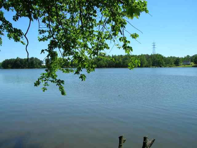Lot Lyman Lyman Lake Road Lyman, SC 29365 - Photo 1 of 6