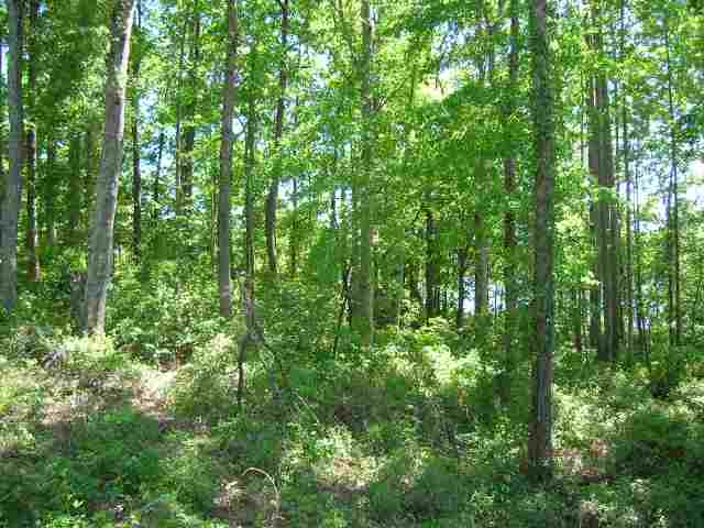 Lot Lyman Lyman Lake Road Lyman, SC 29365 - Photo 2 of 6