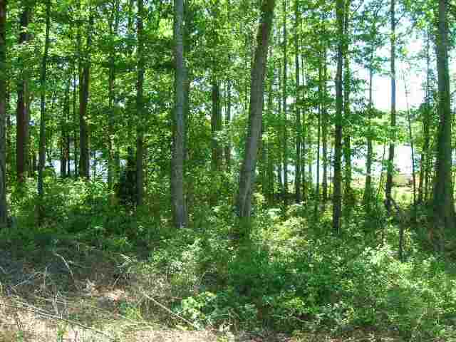 Lot Lyman Lyman Lake Road Lyman, SC 29365 - Photo 3 of 6