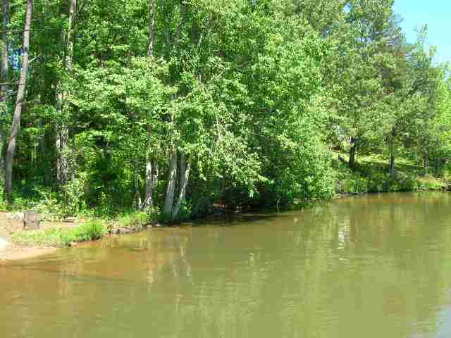 Lot Lyman Lyman Lake Road Lyman, SC 29365 - Photo 5 of 6