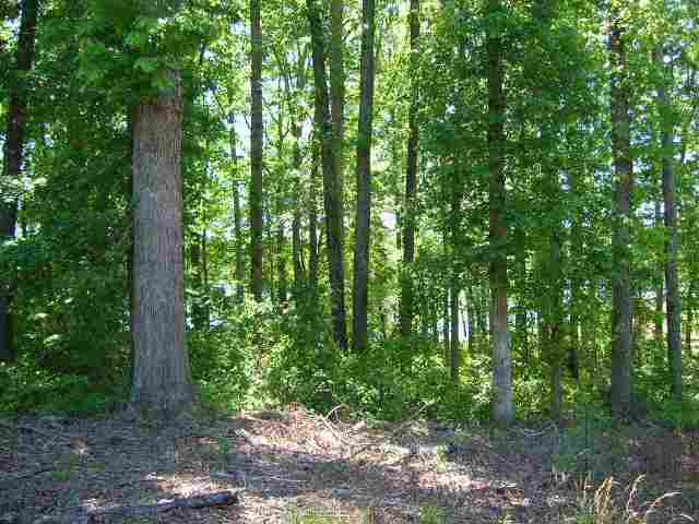 Lot Lyman Lyman Lake Road Lyman, SC 29365 - Photo 6 of 6