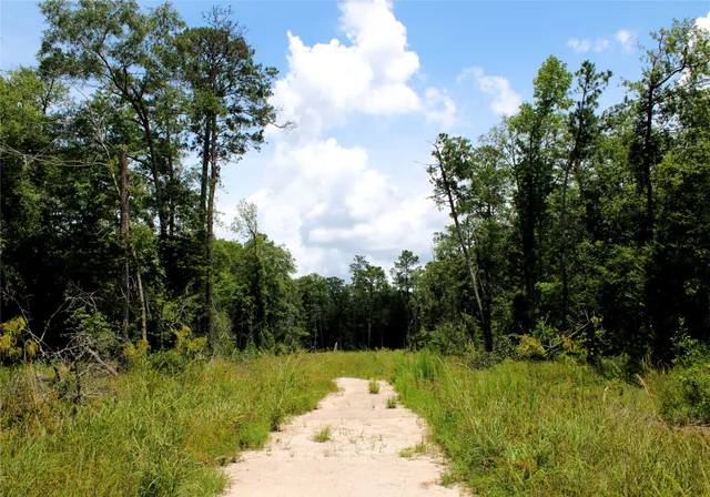 $134,999 | 12425 Picos Road, Saratoga, TX 77585