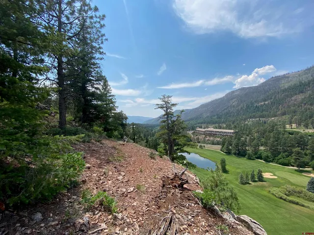 a view of a garden with mountains in the background