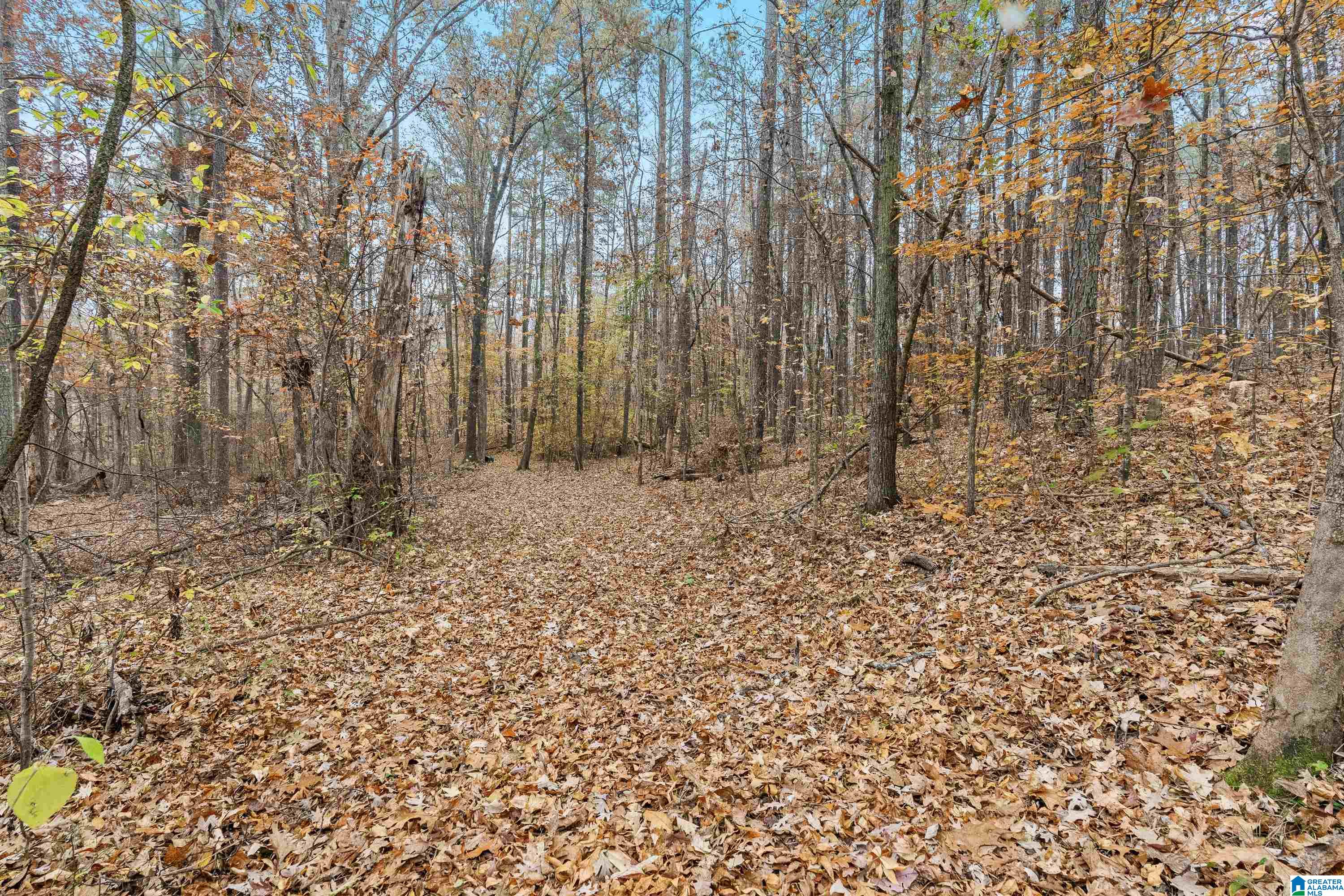 65 Ridgecrest Lane Trussville, AL 35173 - Photo 70 of 84