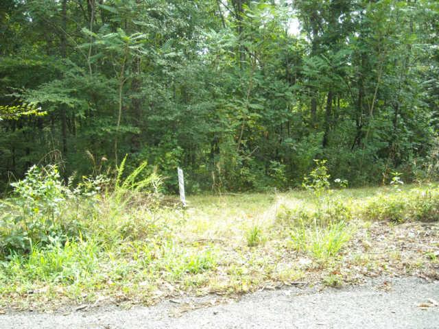 6 Ben Collier Road Charlotte, TN 37036 - Photo 1 of 1 Gallery Image 1