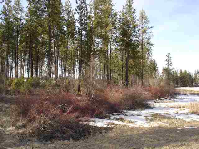 2140 West Blue Heron Road Cheney, WA 99004 - Photo 1 of 7 Gallery Image 1