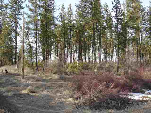 2140 West Blue Heron Road Cheney, WA 99004 - Photo 2 of 7 Gallery Image 2