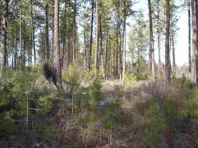 2140 West Blue Heron Road Cheney, WA 99004 - Photo 3 of 7 Gallery Image 3