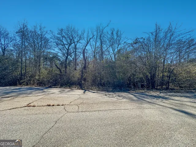 $25,000 | 319 Hawk Court, Macon, GA 31216