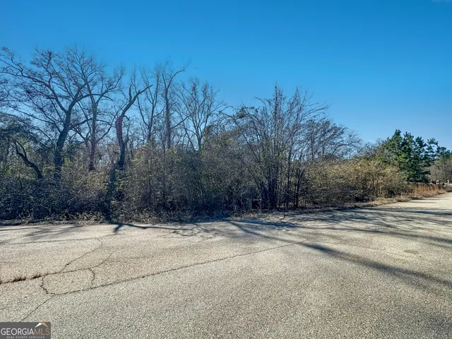 $25,000 | 319 Hawk Court, Macon, GA 31216