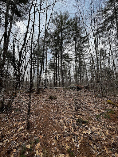 Lot 6-8 Albin Road Searsmont, ME 04973 - Photo 1 of 9 1